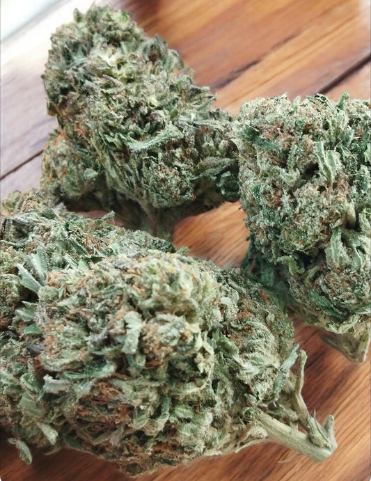 "Bubbakush " , glass housse assistance led