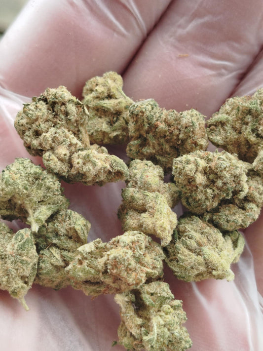 Amnesia us indoor CBD