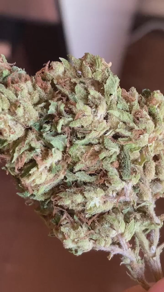 Bubba kush green housse cbd