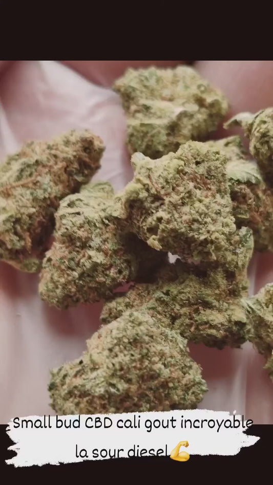 SOUR DIESEL : Small Bud californienne