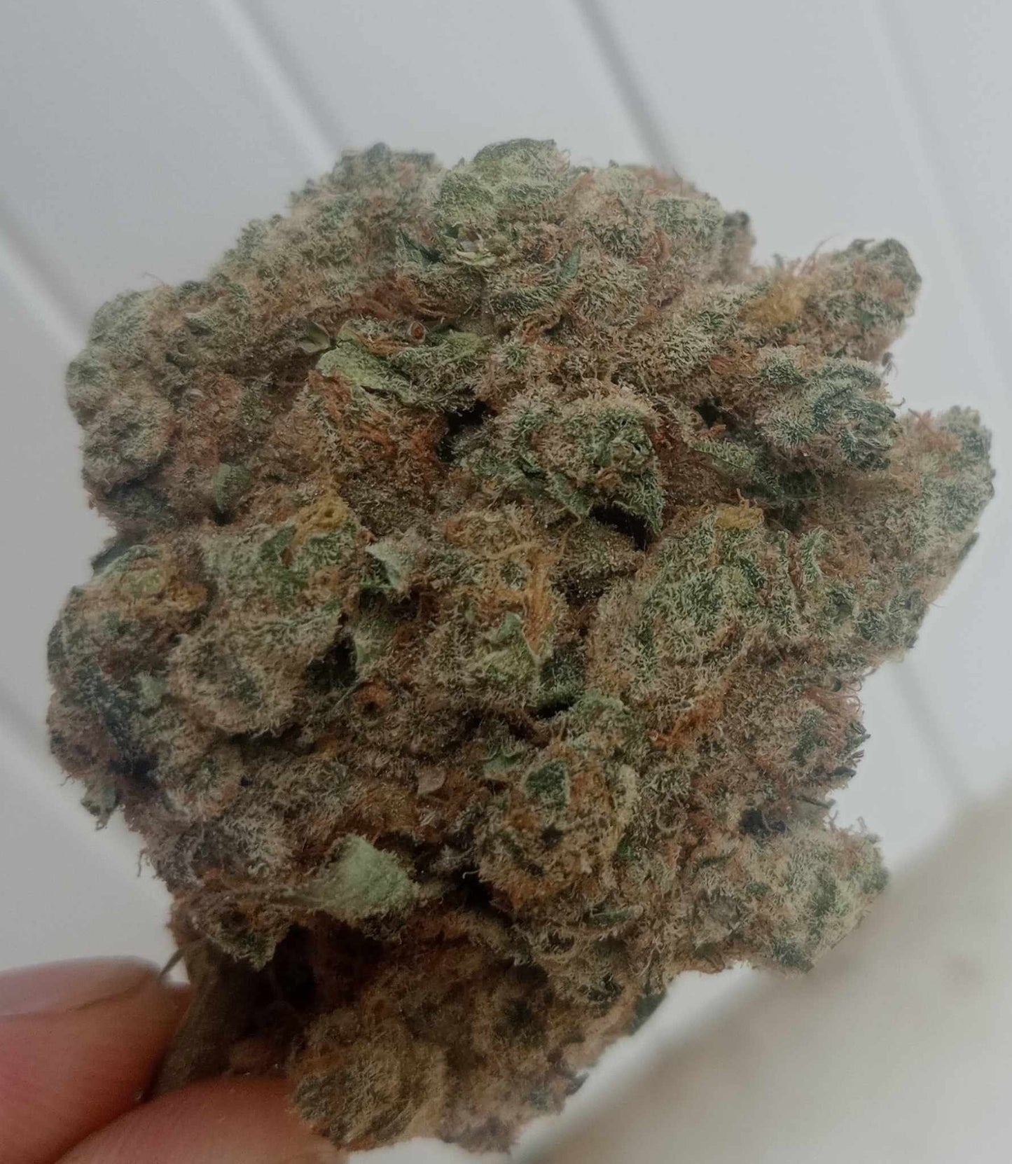 Fleur californienne hydro "La platinum"😋