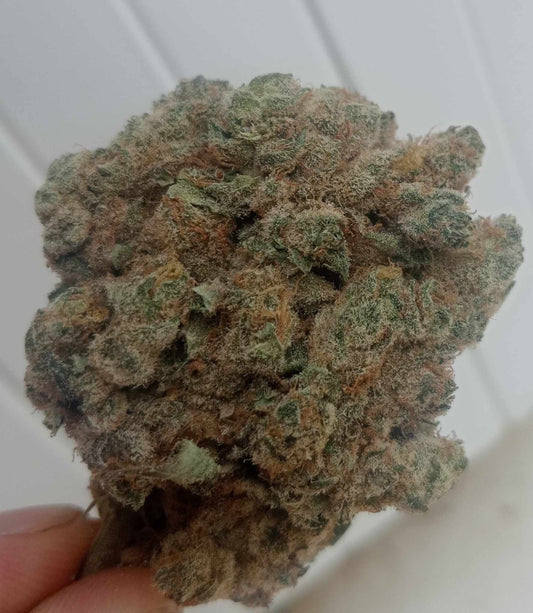 Fleur californienne hydro "La platinum"😋