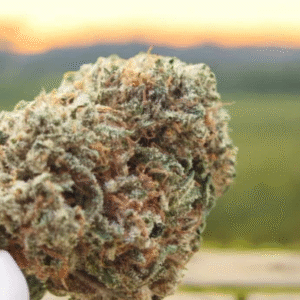 ak47 – fleur indoor