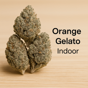 orange gelato – fleur indoor