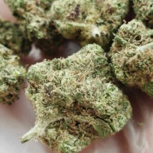 master haze – fleur indoor