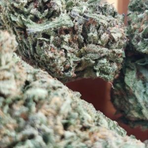 bubbha kush usa glass house